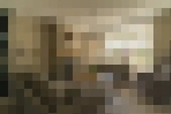 Spoekeboompje 28 Elspeet thumbnail 12