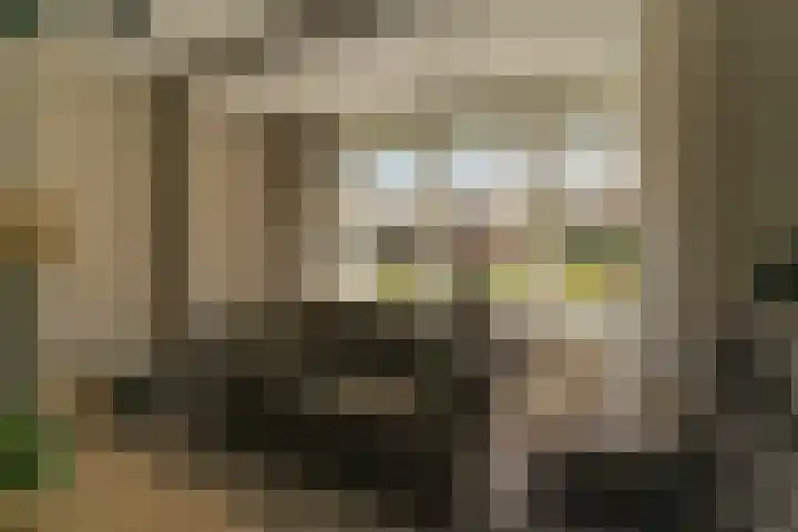 Spoekeboompje 28 Elspeet thumbnail 13