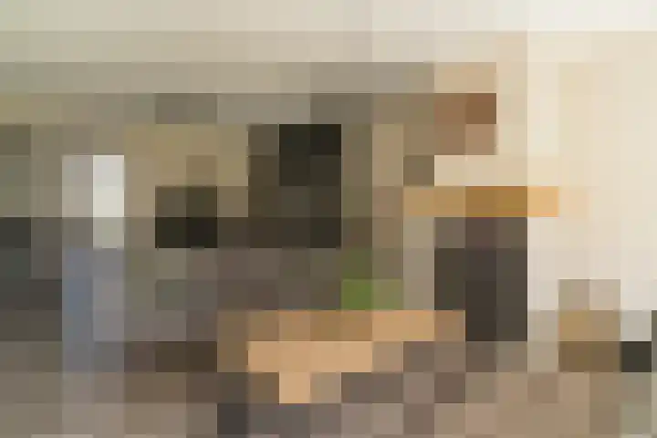 Spoekeboompje 28 Elspeet thumbnail 14