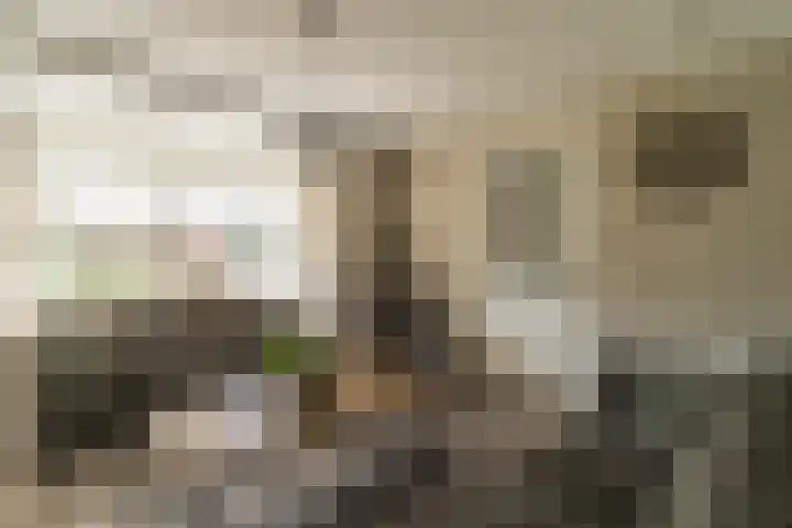 Spoekeboompje 28 Elspeet thumbnail 17