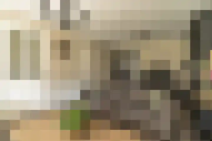 Spoekeboompje 28 Elspeet thumbnail 18