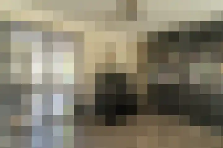 Spoekeboompje 28 Elspeet thumbnail 19