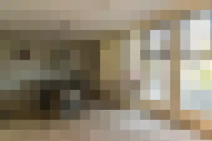 Spoekeboompje 28 Elspeet thumbnail 25