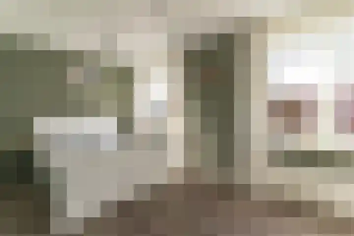 Spoekeboompje 28 Elspeet thumbnail 26