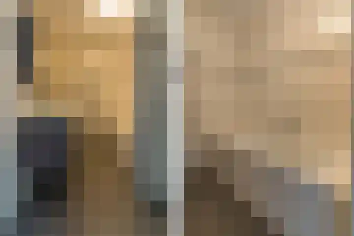 Spoekeboompje 28 Elspeet thumbnail 34