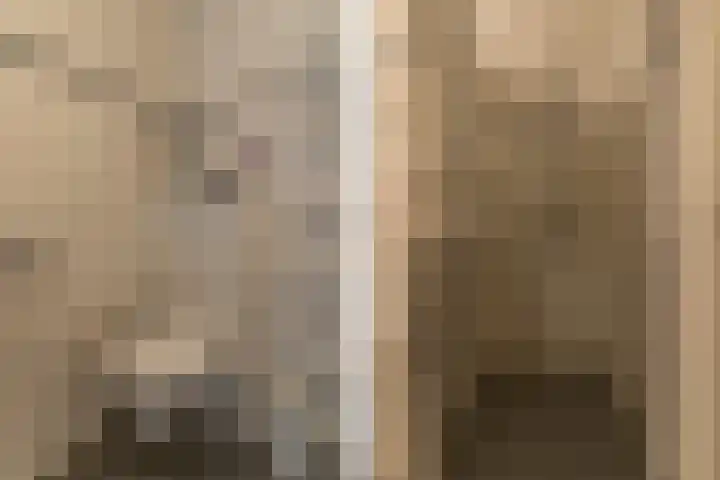 Spoekeboompje 28 Elspeet thumbnail 36