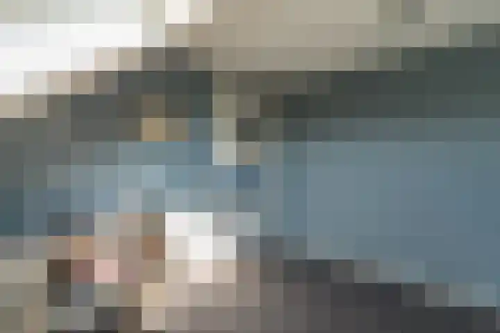 Spoekeboompje 28 Elspeet thumbnail 38