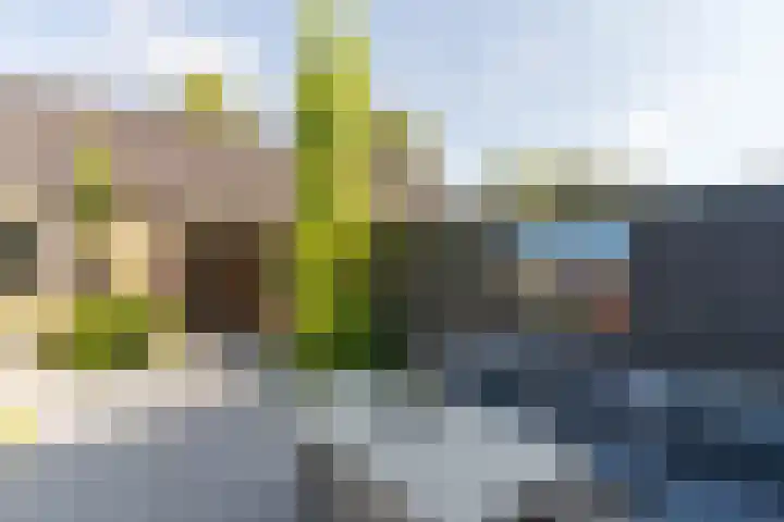 Spoekeboompje 28 Elspeet thumbnail 4