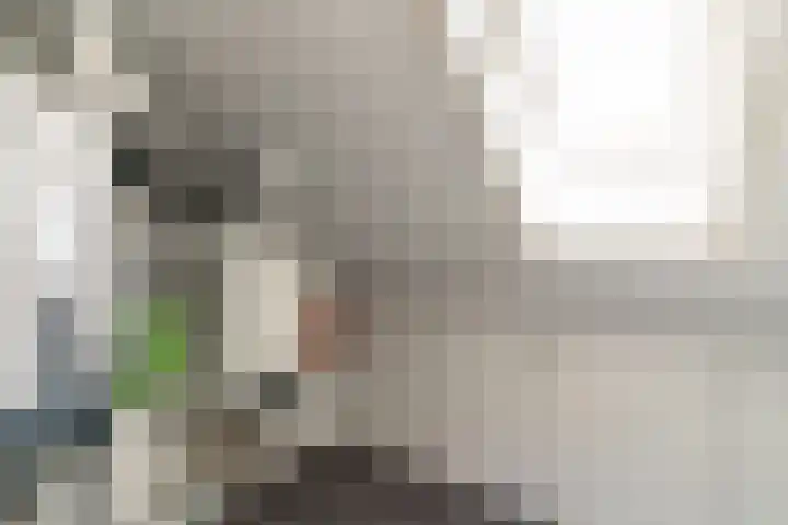 Spoekeboompje 28 Elspeet thumbnail 41