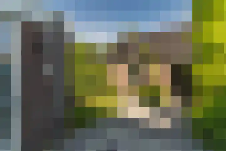 Spoekeboompje 28 Elspeet thumbnail 43