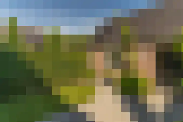 Spoekeboompje 28 Elspeet thumbnail 44
