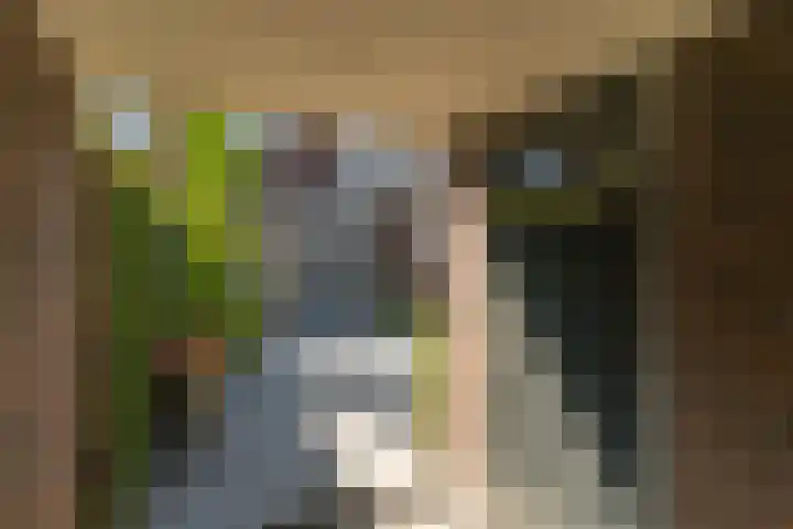 Spoekeboompje 28 Elspeet thumbnail 47