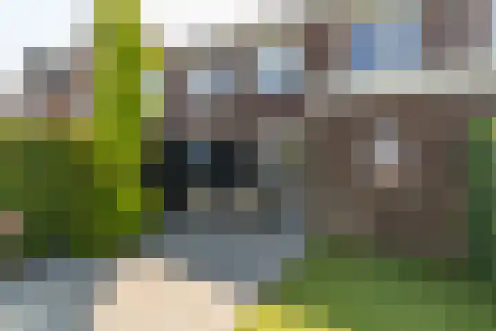 Spoekeboompje 28 Elspeet thumbnail 48