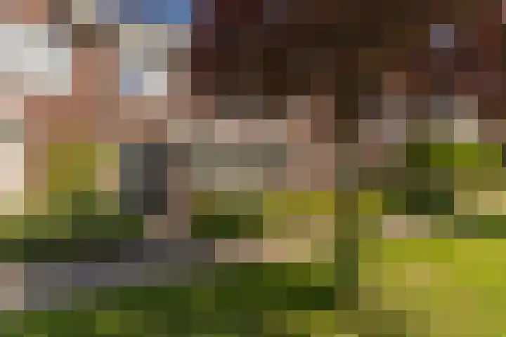 Spoekeboompje 28 Elspeet thumbnail 5