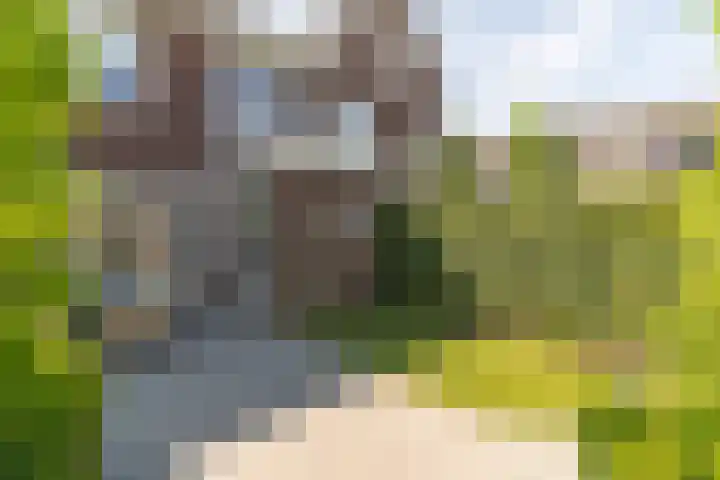 Spoekeboompje 28 Elspeet thumbnail 49