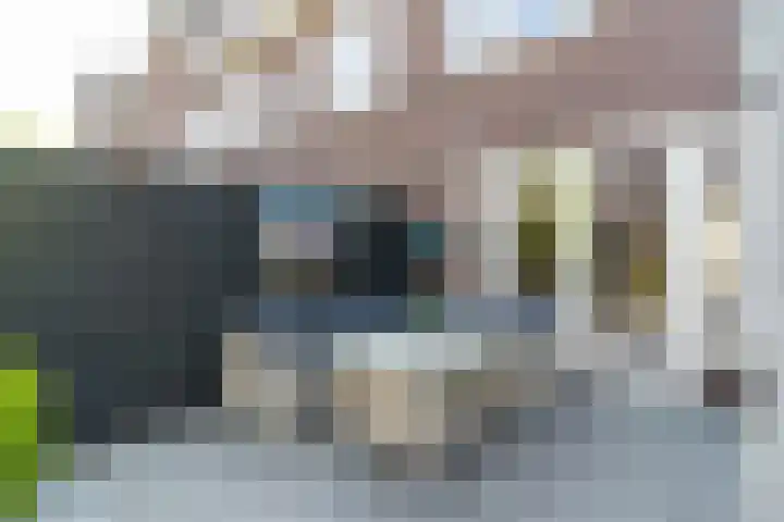 Spoekeboompje 28 Elspeet thumbnail 50