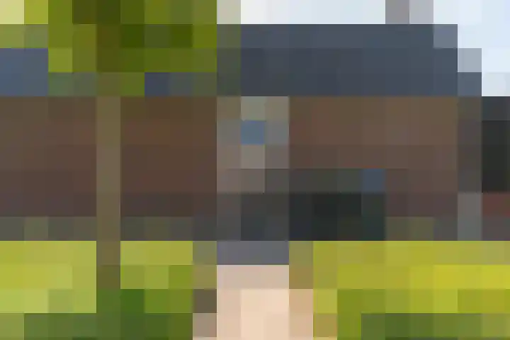 Spoekeboompje 28 Elspeet thumbnail 51