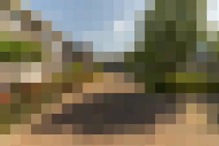 Spoekeboompje 28 Elspeet thumbnail 52