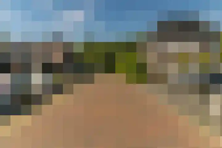 Spoekeboompje 28 Elspeet thumbnail 53