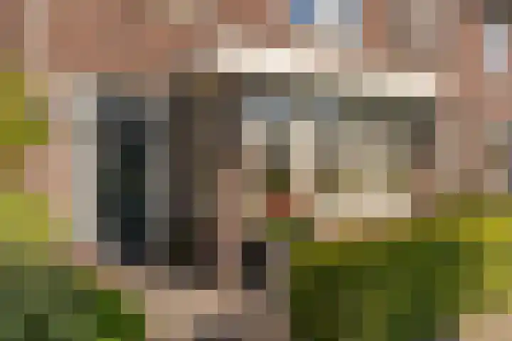 Spoekeboompje 28 Elspeet thumbnail 6