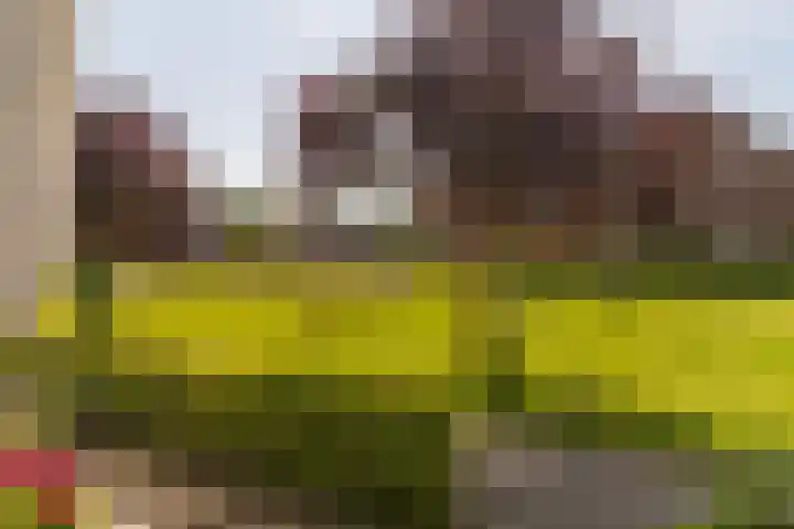 Spoekeboompje 28 Elspeet thumbnail 7