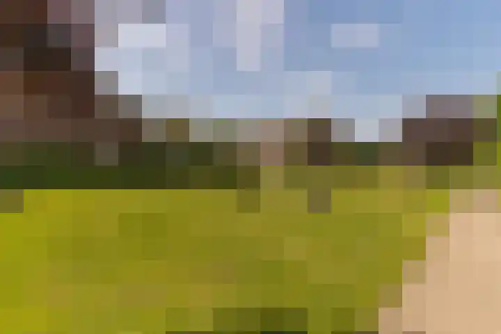 Spoekeboompje 28 Elspeet thumbnail 9