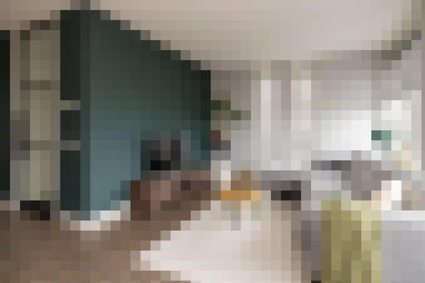 Spoekeboompje 69 Elspeet thumbnail 12
