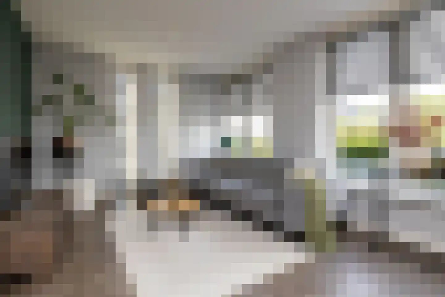 Spoekeboompje 69 Elspeet thumbnail 13