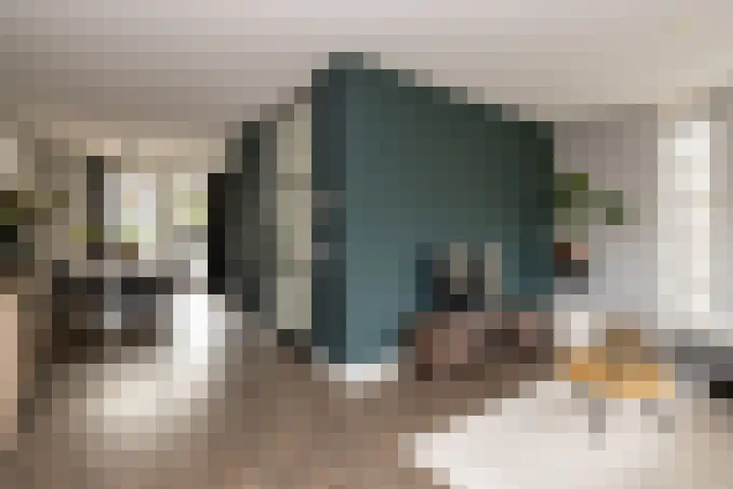 Spoekeboompje 69 Elspeet thumbnail 15