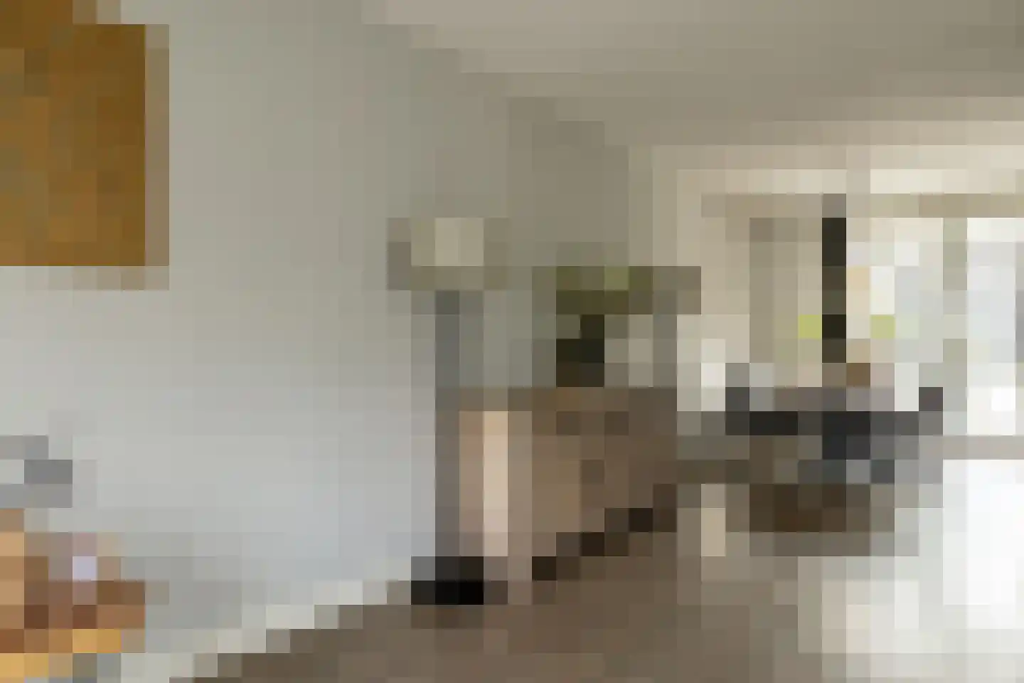 Spoekeboompje 69 Elspeet thumbnail 16
