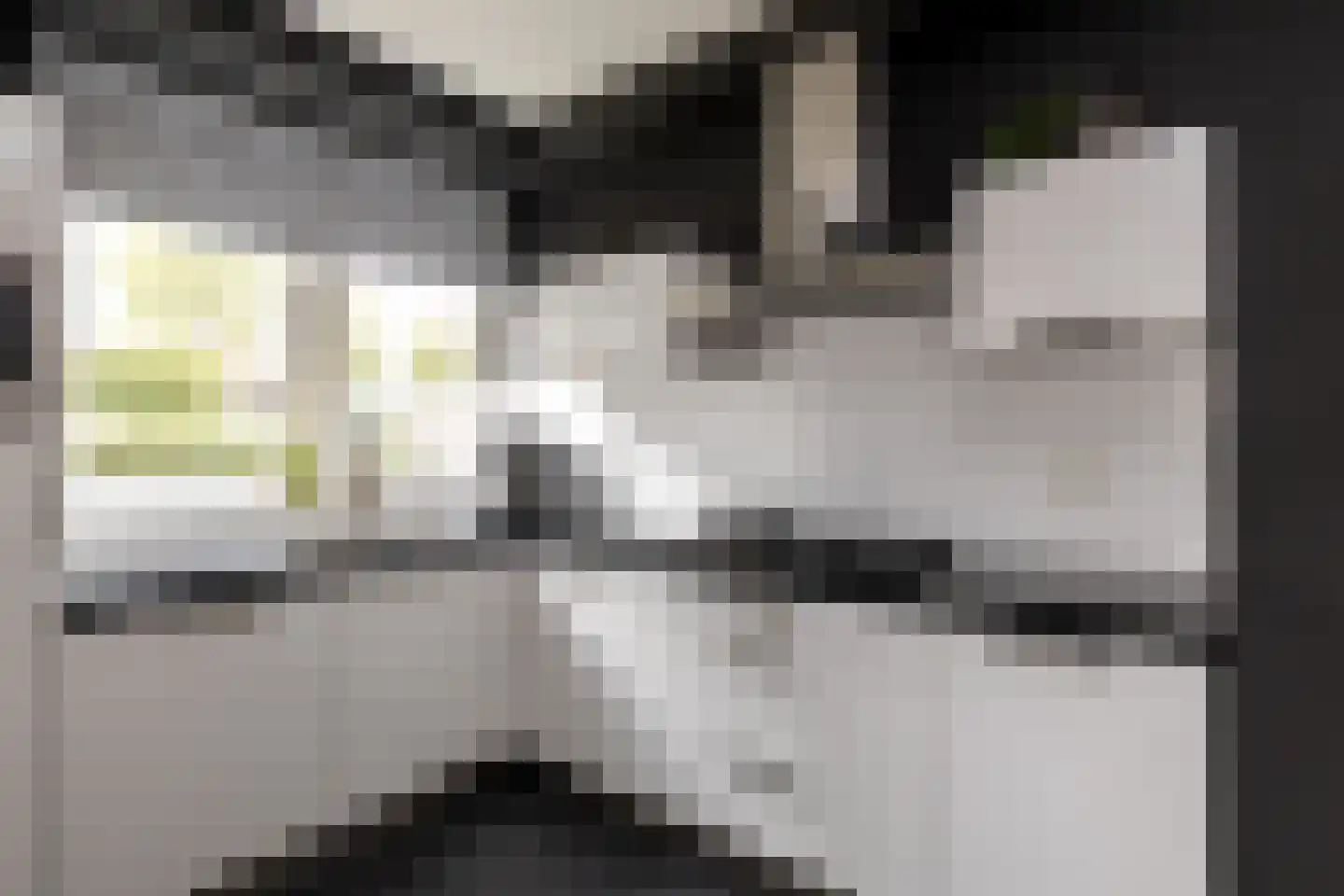 Spoekeboompje 69 Elspeet thumbnail 20