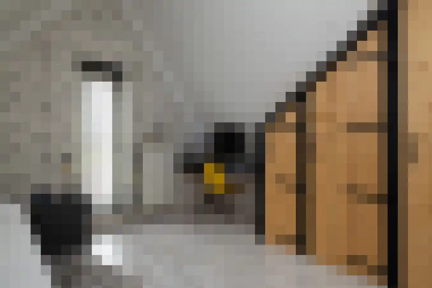 Spoekeboompje 69 Elspeet thumbnail 36