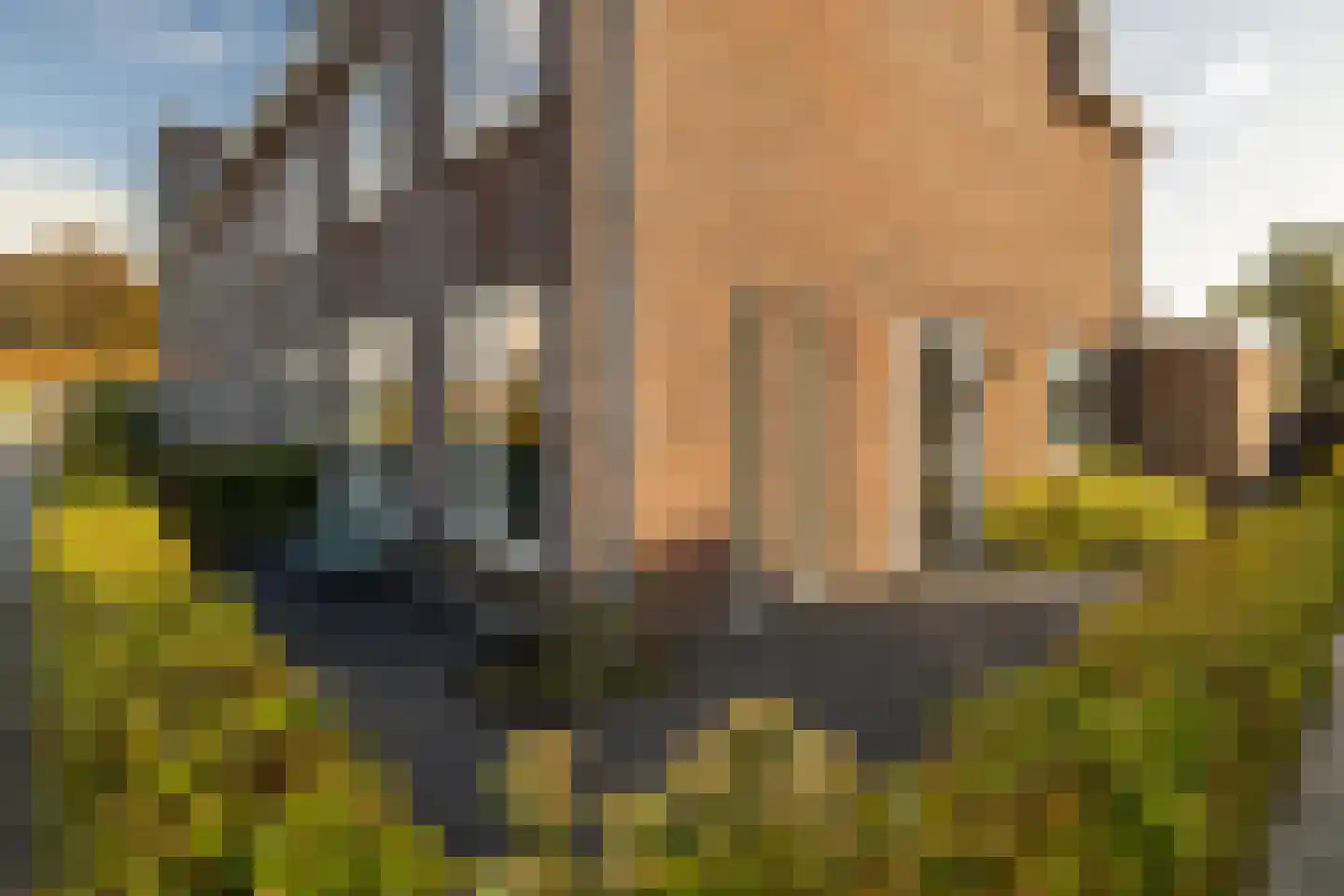 Spoekeboompje 69 Elspeet thumbnail 39