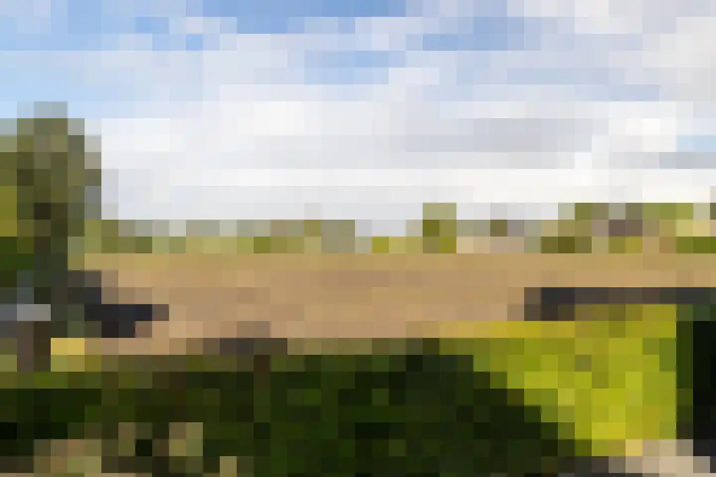 Spoekeboompje 69 Elspeet thumbnail 40