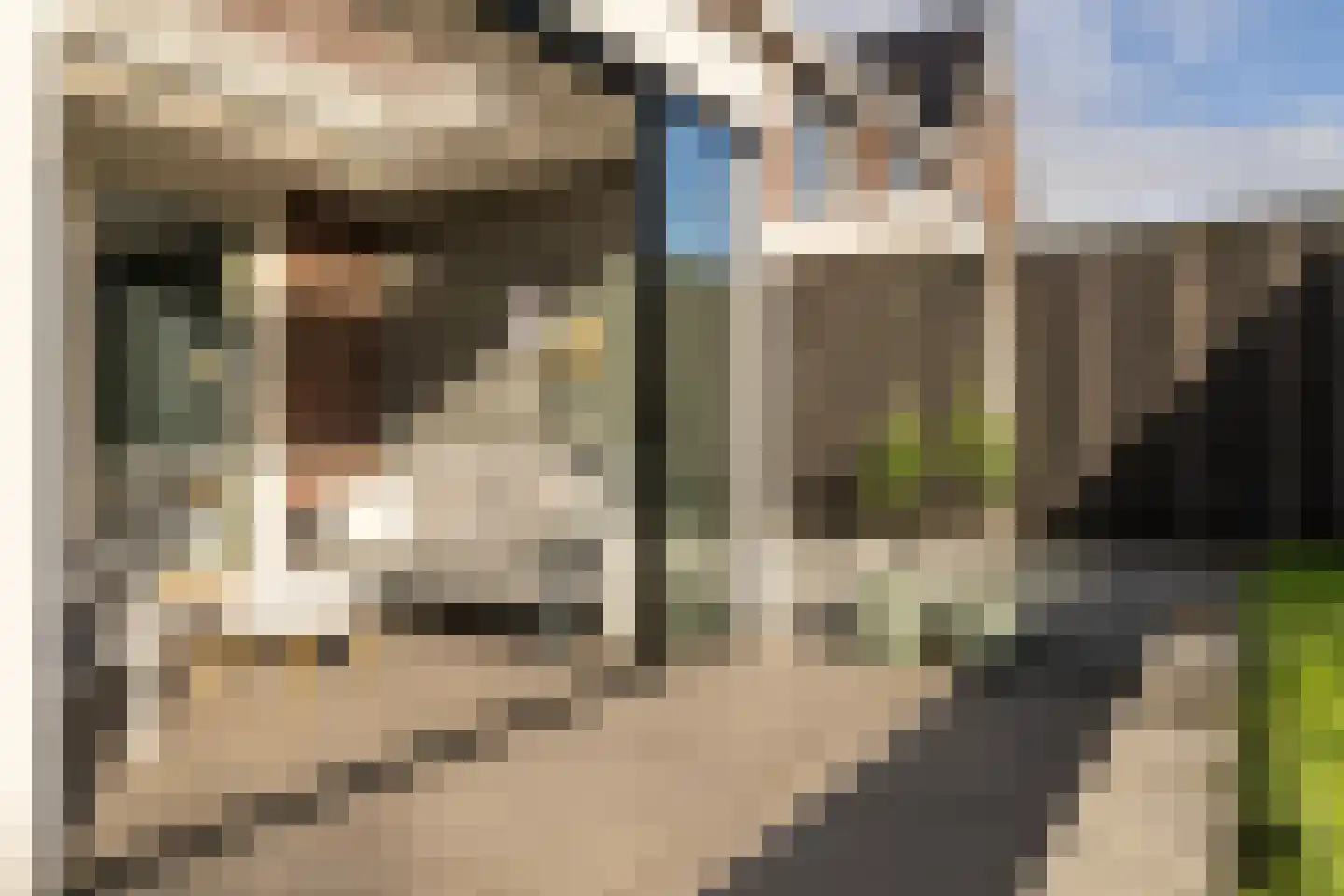 Spoekeboompje 69 Elspeet thumbnail 43