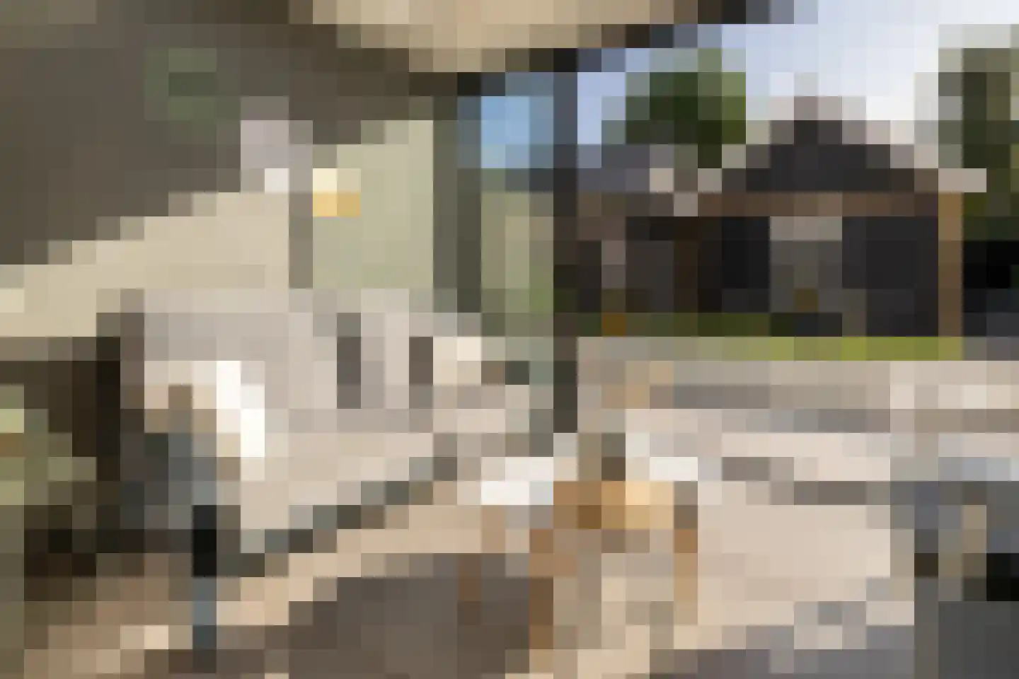 Spoekeboompje 69 Elspeet thumbnail 44
