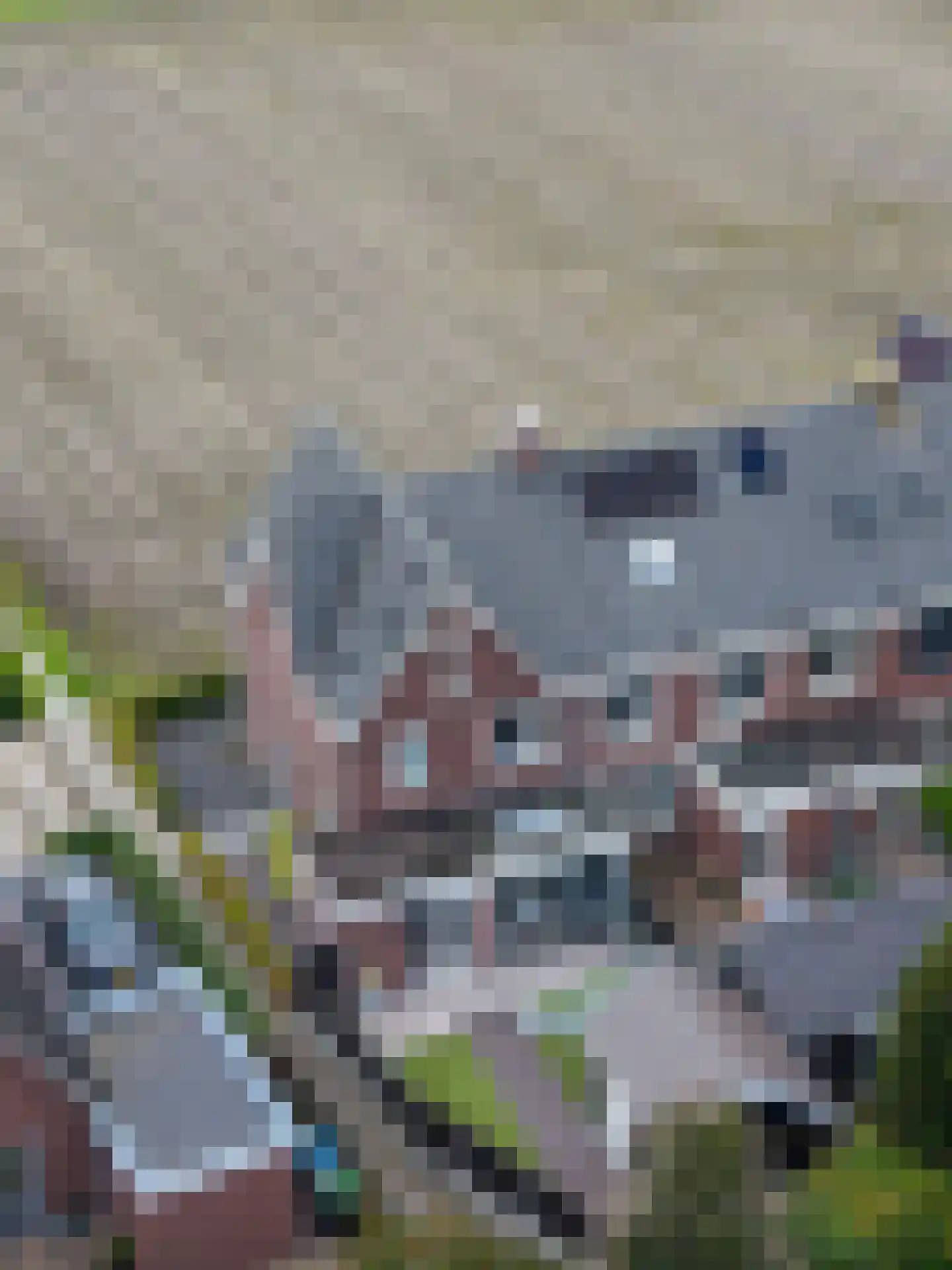 Spoekeboompje 69 Elspeet thumbnail 45