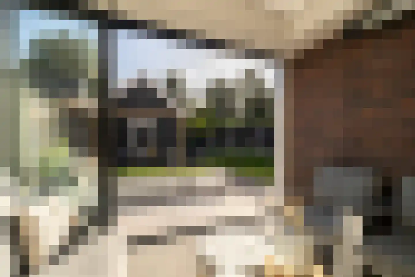 Spoekeboompje 69 Elspeet thumbnail 7