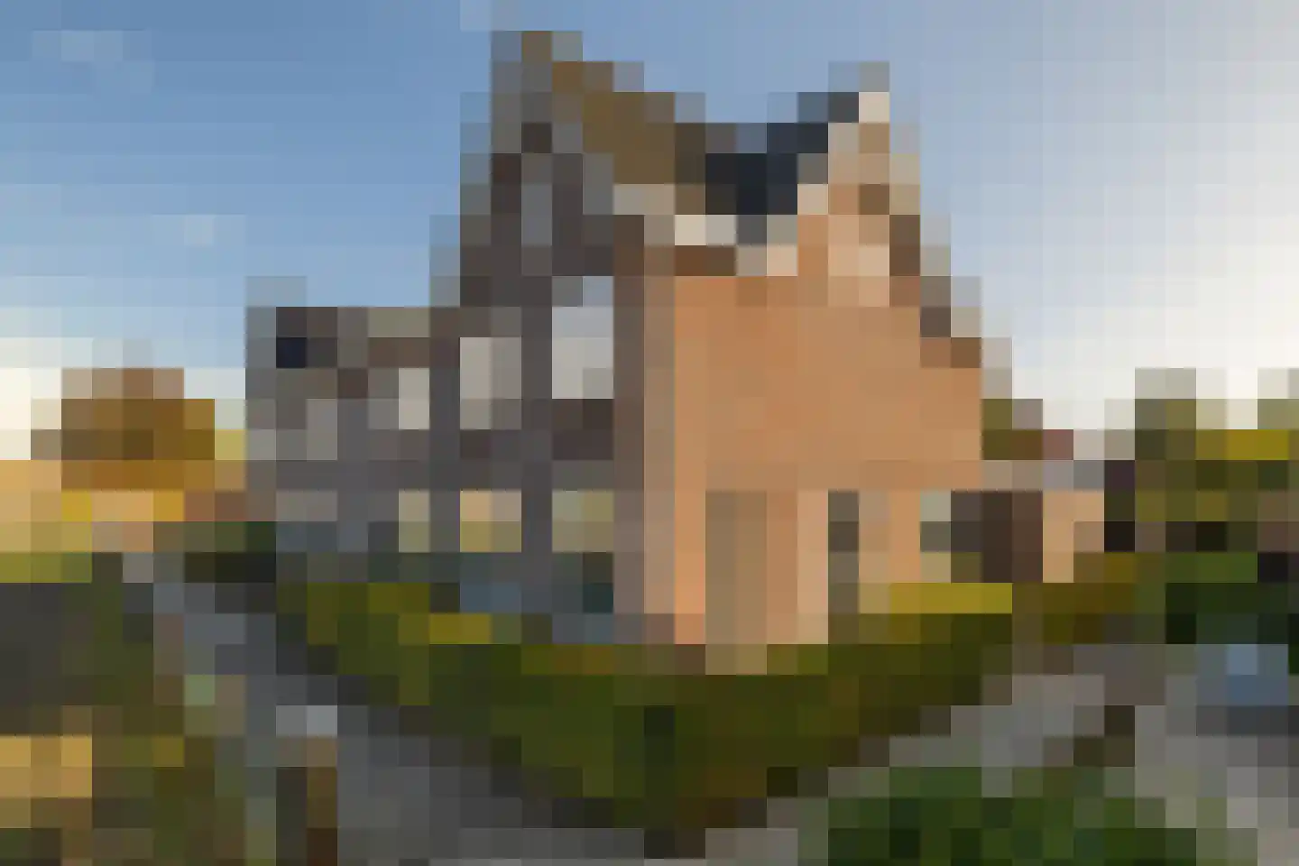 Spoekeboompje 69 Elspeet thumbnail 9