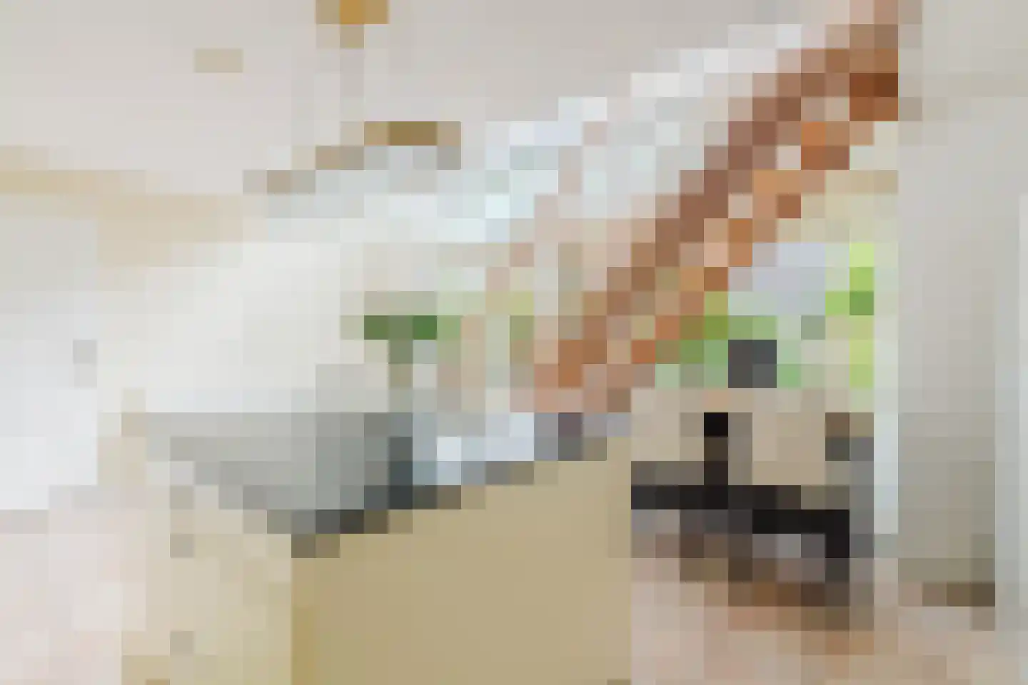 Spoeleind 14 Best thumbnail 16