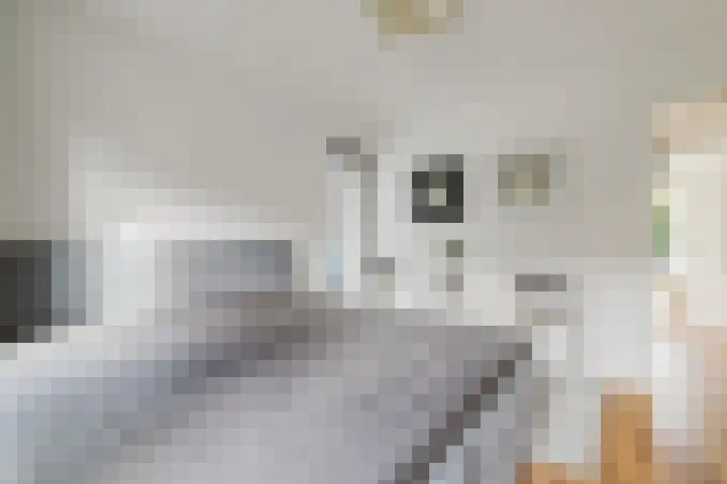 Spoeleind 14 Best thumbnail 25