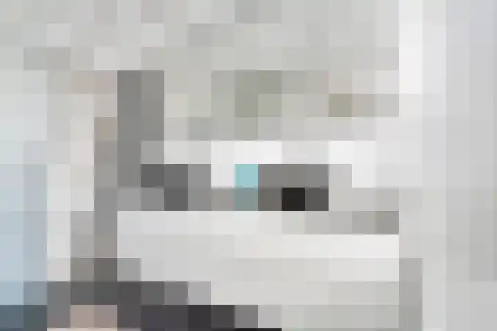 Spoeleind 14 Best thumbnail 39