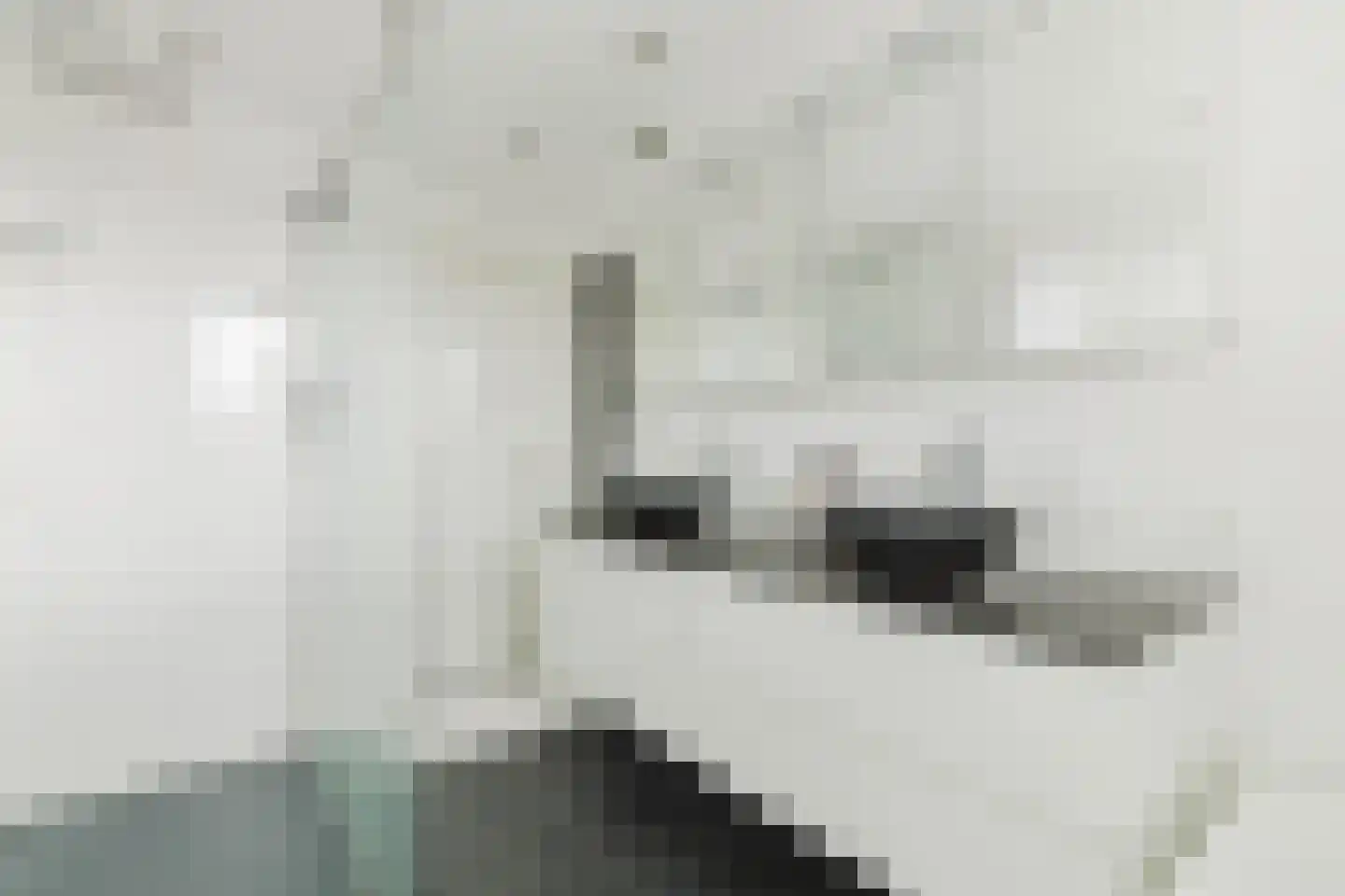 Spoeleind 14 Best thumbnail 46