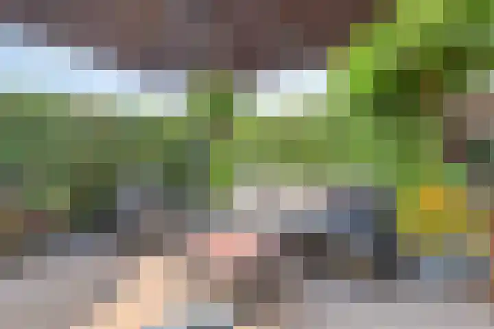 Spoeleind 14 Best thumbnail 47