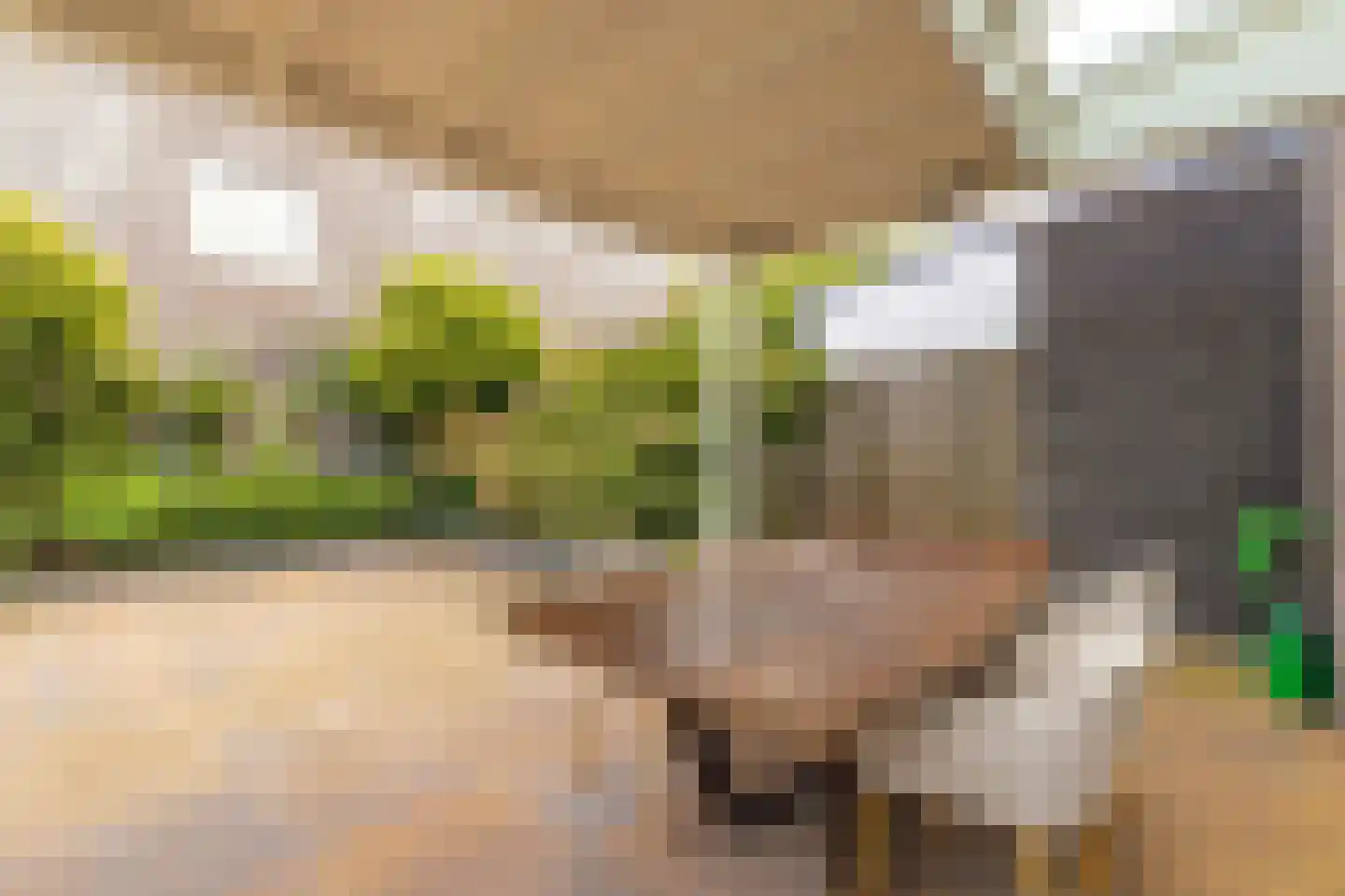 Spoeleind 14 Best thumbnail 48