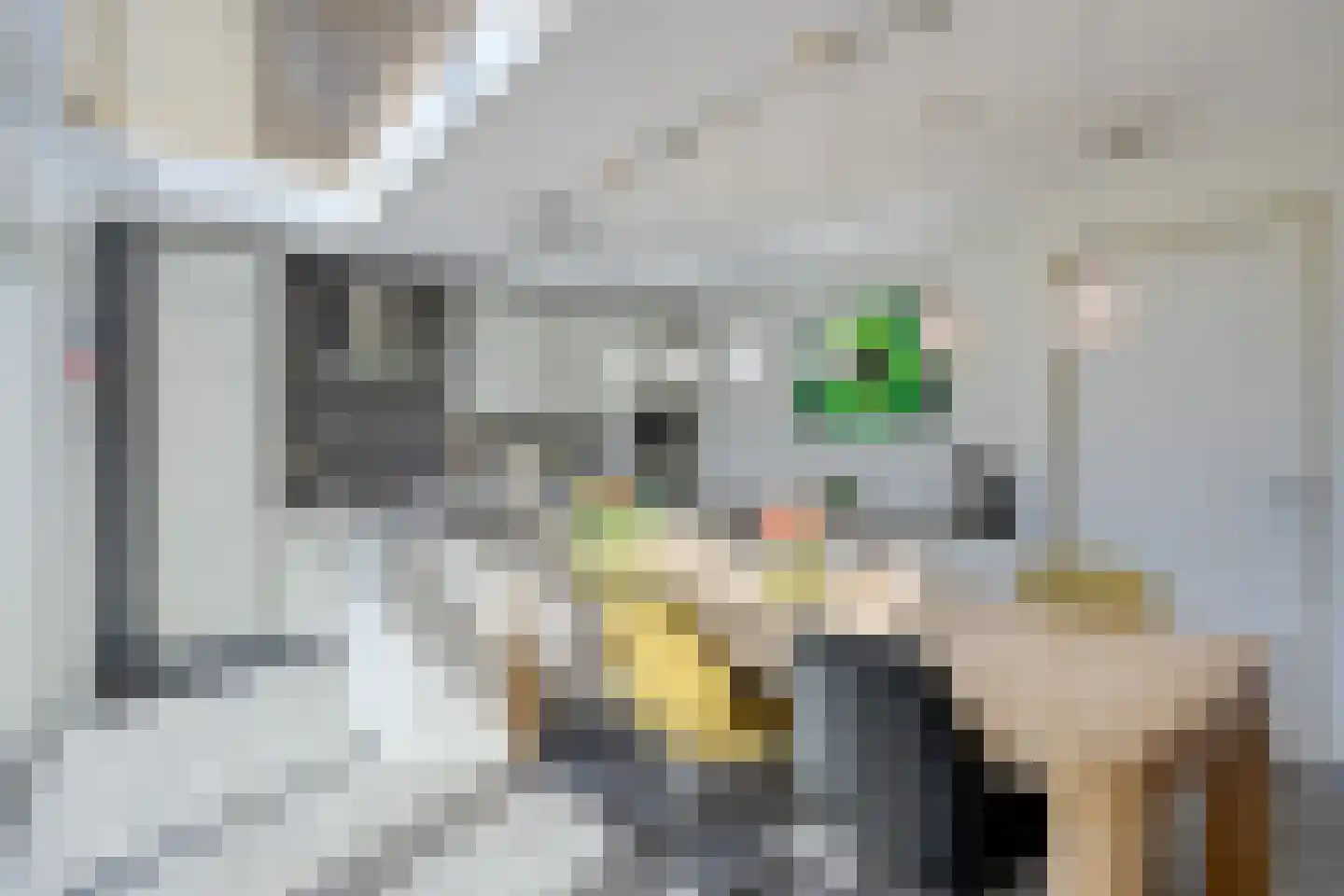 Spoeleind 23 Best thumbnail 10