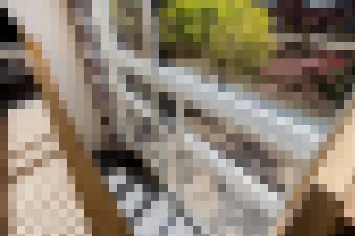 Spoeleind 23 Best thumbnail 25