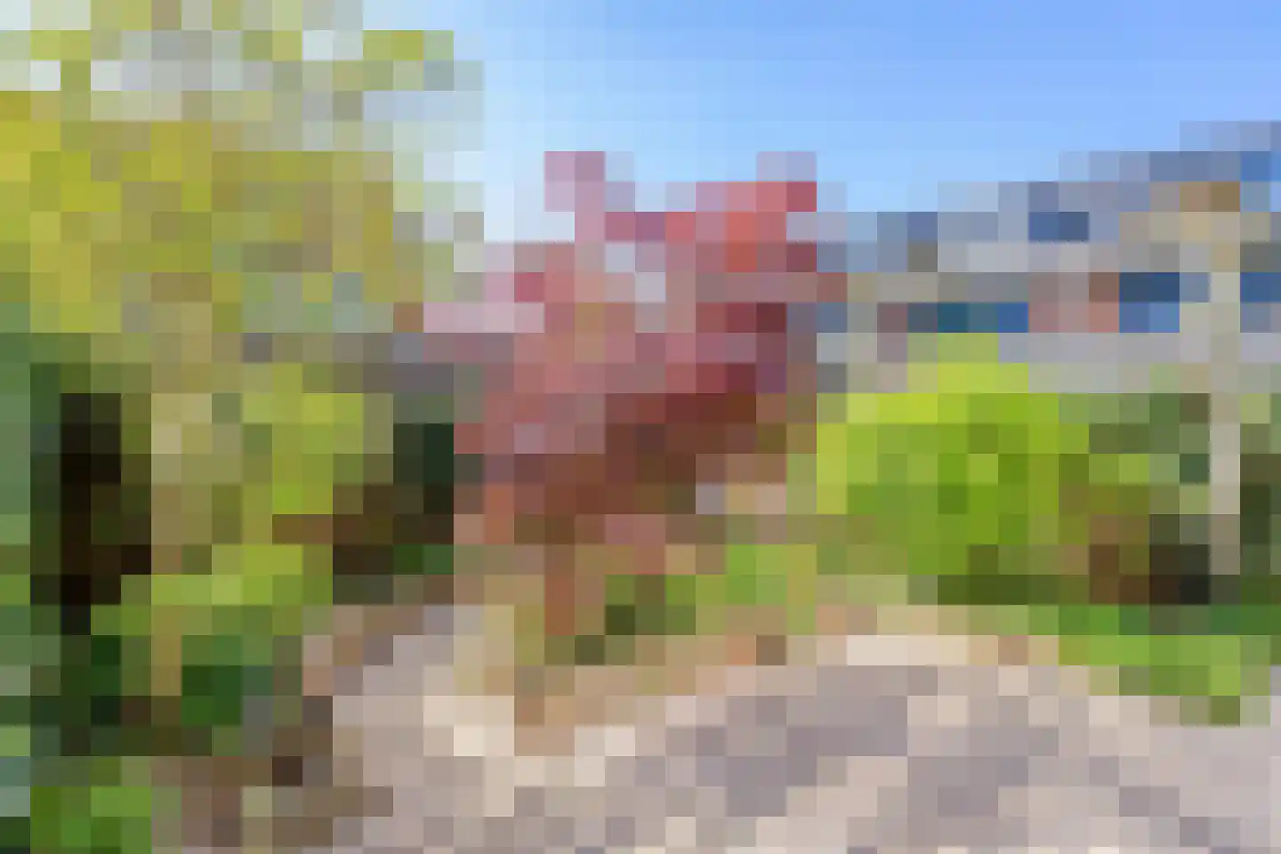 Spoeleind 23 Best thumbnail 38