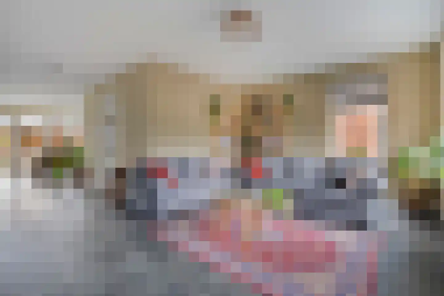 Spoelenstraat 5 Slagharen thumbnail 13