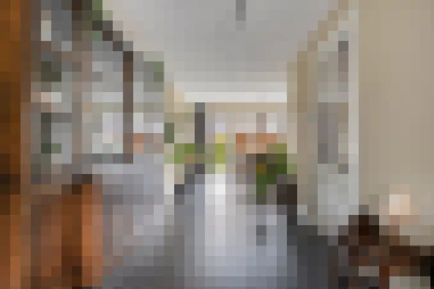 Spoelenstraat 5 Slagharen thumbnail 15